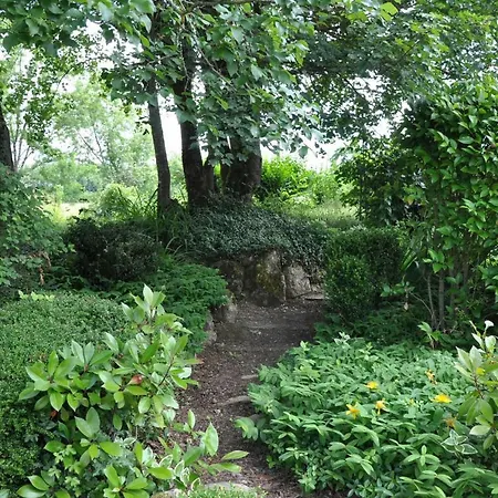 Domaine De Hongrie * Ногаро