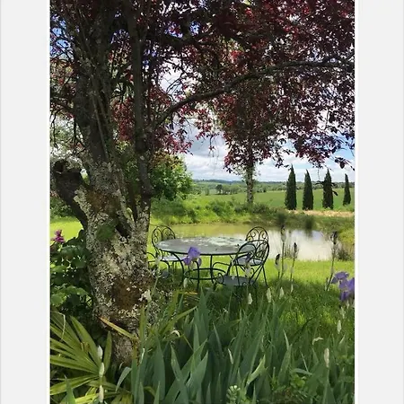 Domaine De Hongrie * Ногаро