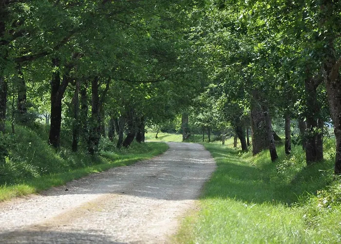 Bed & Breakfast Domaine De Hongrie Nogaro